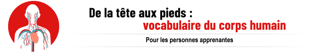 Une langue en santé : vocabulaire du corps humain. Pour les personnes apprenantes.